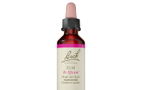 Elm Bach flower essence remedy