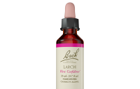 Larch Bach flower essence remedy